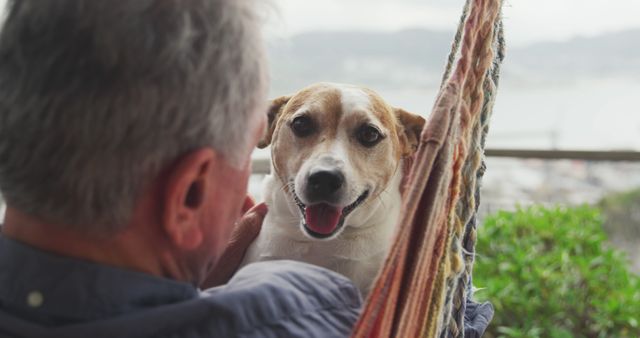 Caucasian senior man petting his dog sitting in hammock. Retirement, senior lifestyle, happiness, domestic life, animals and wine making, unaltered.