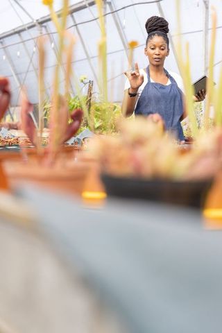 African american woman gardener holding tablet gesturing to succulents in greenhouse