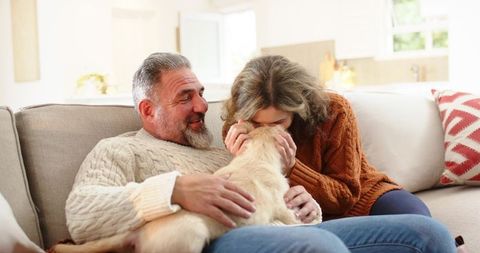 Middle-aged couple cuddling and nuzzling puppy on sunlit sofa in cozy living room