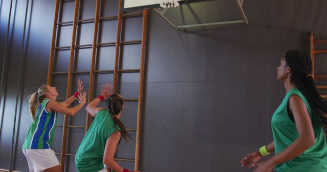 Women Playing Basketball Indoors in Gym - Download Free Stock Images Pikwizard.com