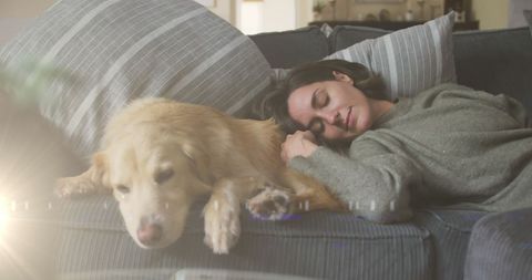 Woman Comfortably Sleeping with Dog on Couch during Daytime - Download Free Stock Images Pikwizard.com