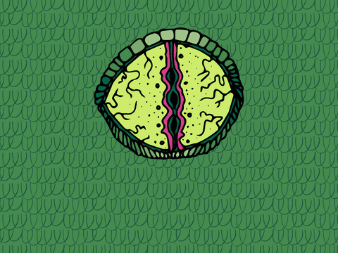 transparent abstract eye illustration on scaled background - Download Free Stock Videos Pikwizard.com