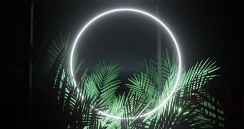 Neon Circle with Green Foliage on Black Background