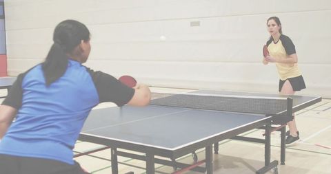 Women rallying in competitive indoor table tennis match showing focus and fast reflexes