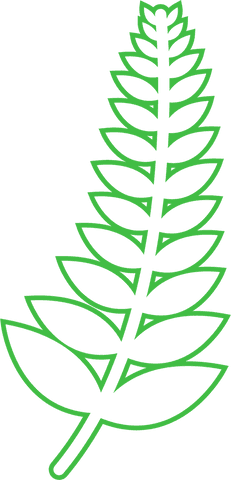 green cereal leaf symbol on transparent background - Download Free Stock Videos Pikwizard.com