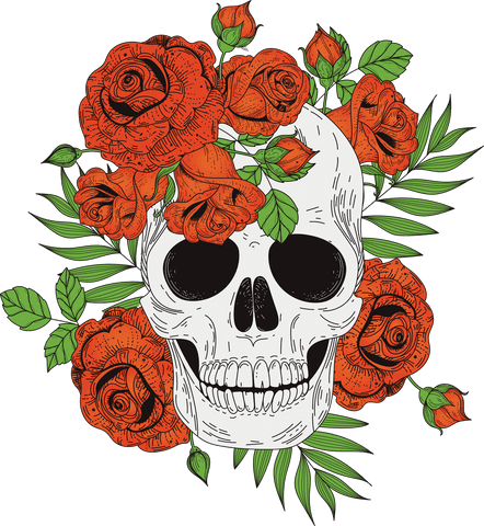 decorative skull wall art with red roses on transparent background - Download Free Stock Videos Pikwizard.com