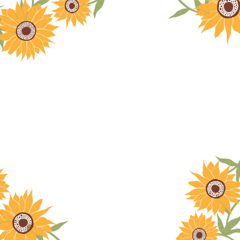 transparent botanical sunflower border design with copy space - Download Free Stock Videos Pikwizard.com