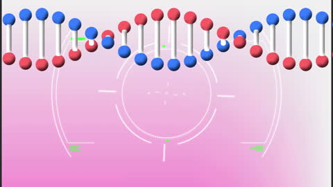 DNA Strand Spinning with Digital Interface