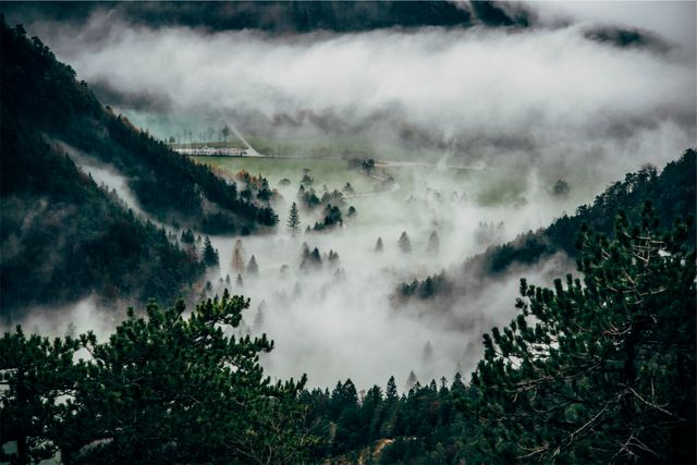 This image shows a misty morning landscape with a dense forest in a mountain valley, providing a serene backdrop with fog settling amid the trees. Ideal for nature lovers, this ethereal landscape can be used as a desktop wallpaper, background for promotional materials, or in travel brochures to evoke a sense of natural tranquility and beauty.