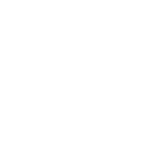 White Floral Pattern PNG on Transparent Background - Download Free Stock Videos Pikwizard.com