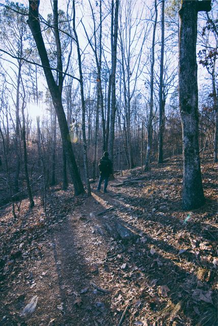 Person hiking alone on a forest path in early winter. Trees are bare, and sunlight filters through, casting long shadows. Perfect for illustrating themes like solitude, nature, outdoor activities, and personal adventure in nature-related articles, websites, and brochures.