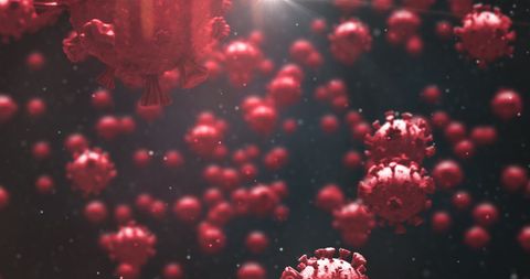This digital illustration highlights the structure of Covid-19 virus cells in a macro view, with a dark background enhancing its ominous presence. Perfect for use in educational materials, health awareness campaigns, and scientific journals to demonstrate images associated with viruses and pandemics.