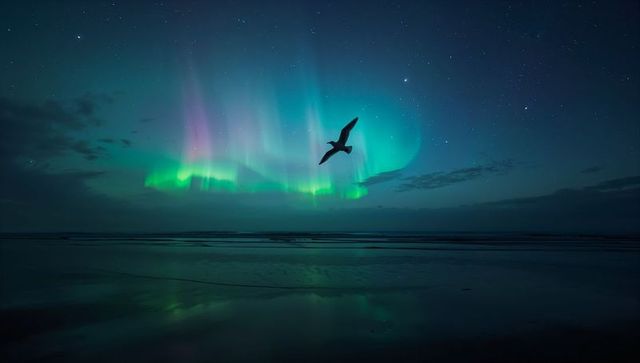 Gliding seagull silhouette skimming reflective beach under vibrant northern lights