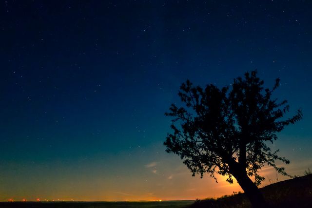 This image captures a tranquil night scene with a lone tree silhouetted against a starry sky and distant horizon. Ideal for backgrounds, nature-themed designs, or serene and tranquil advertisements.