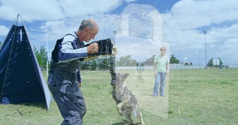Dog training demonstration with professional handling skills