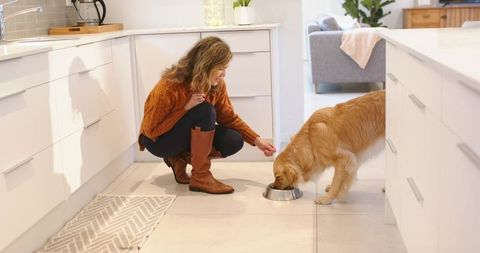 Crouching mid adult woman feeding golden retriever in bright modern kitchen
