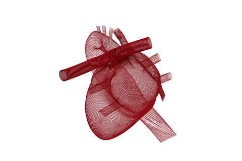 transparent 3d red heart model - Download Free Stock Videos Pikwizard.com