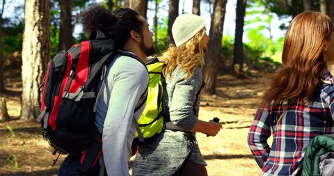 Friends Hiking Together in Sunlit Forest Adventure - Download Free Stock Images Pikwizard.com