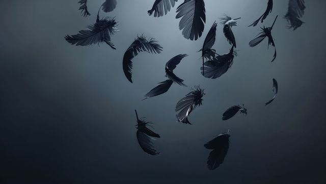 Floating dark feathers in minimalist void
