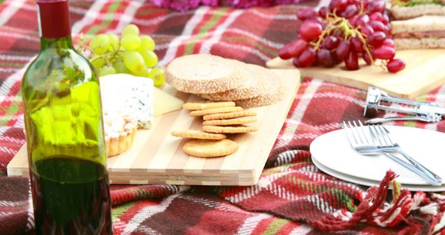 A variety of picnic foods is displayed on a red and white checkered blanket. The scene includes a bottle of wine, grapes, cheese, crackers, and cutlery, suggesting a pleasant outdoor gathering. Ideal for concepts of outdoor activities, leisure time, relaxation, food and drink, social gatherings, and simplicity. Could be used in articles, blogs, advertisements, or social media content related to summer activities, picnics, or food pairing.