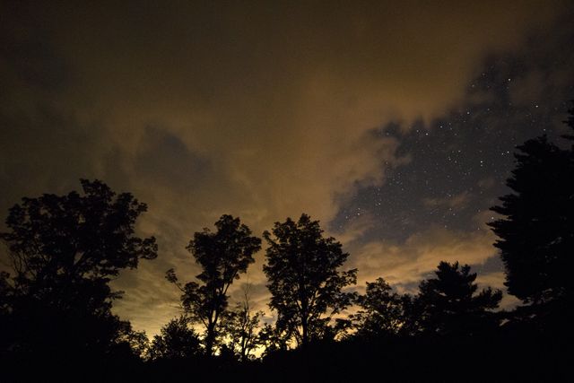 Silhouetted Trees Against Night Sky with Stars and Dramatic Clouds - Download Free Stock Photos Pikwizard.com