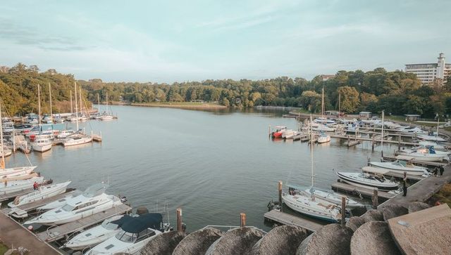 Serene marina with moored yachts and sailboats lining tree-covered waterfront at dusk