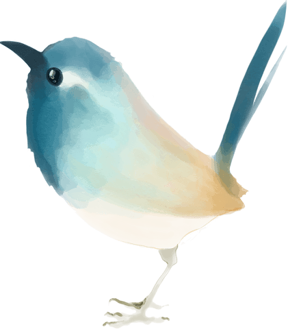transparent blue and orange watercolor bird illustration - Download Free Stock Videos Pikwizard.com