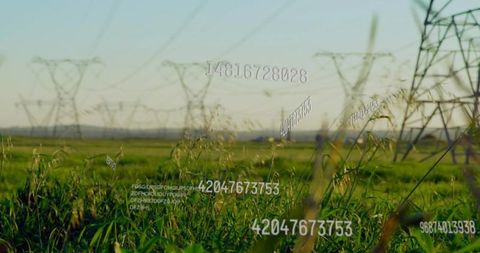 Swaying grass in rural field with transmission pylons and floating data overlays