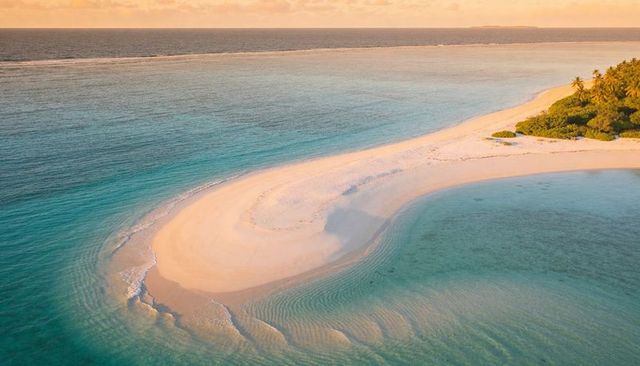 Aerial curved sandbar in turquoise lagoon with palm-fringed island at golden hour
