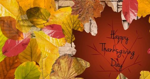 Happy Thanksgiving Day with Vibrant Autumn Leaves - Download Free Stock Images Pikwizard.com