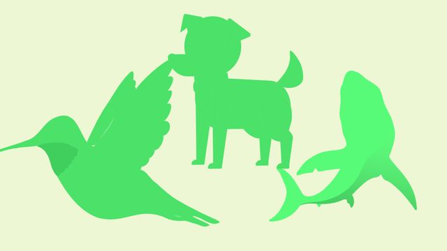 This illustration features stylized silhouettes of a bird, a dog, and a shark set against a soft green background. The image is perfectly suitable for use in promoting environmental awareness and conservation efforts. It can also be used in educational content focusing on diverse animal species, or in designs celebrating World Animal Day. Additionally, it is well-suited for creating visual appeal in posters, social media posts, or digital campaigns regarding animal protection themes.