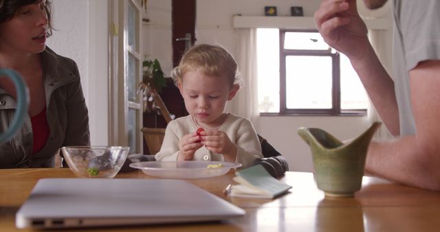 Young Child Eating Snack at Table with Parents - Download Free Stock Images Pikwizard.com