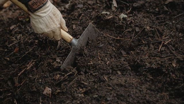 Gardener digging loamy soil with trowel and gloved hand preparing garden bed