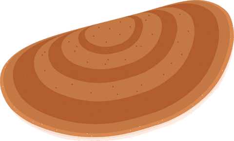 stylized wooden disc graphic with concentric rings on transparent background - Download Free Stock Videos Pikwizard.com