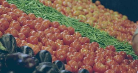 Ripe tomatoes arranged in neat rows with fresh green beans and eggplants on market trays