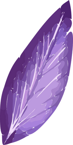 elegant purple feather with gradient shading on transparent background - Download Free Stock Videos Pikwizard.com