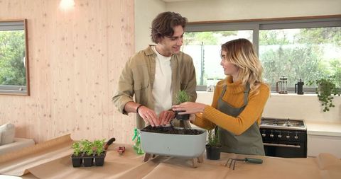 Friends Repotting Herb Seedlings at Home in Modern Kitchen