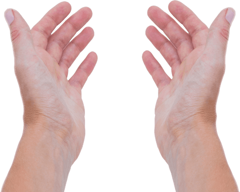 transparent background of open hands raising gracefully - Download Free Stock Videos Pikwizard.com