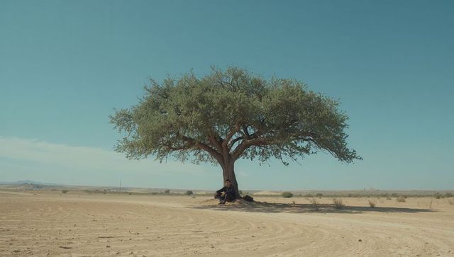 Solitary traveler resting under lone tree on arid plain with winding dirt track