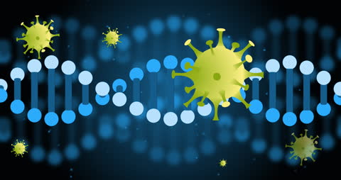 DNA Strand with Virus Particles in Motion