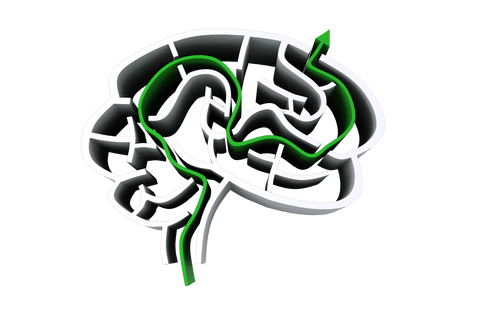 transparent brain model with green arrow pathway on white background - Download Free Stock Videos Pikwizard.com
