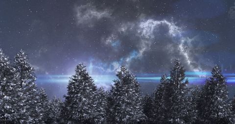 Celestial Shooting Star Over Winter Forest Night Sky - Download Free Stock Images Pikwizard.com