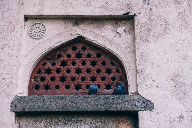 Old Stone Wall with Ornamental Carved Window and Pigeons - Download Free Stock Images Pikwizard.com