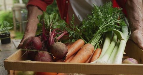 Basket of Freshly Harvested Organic Vegetables in Hands