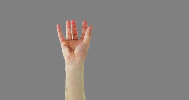 Raised Hand Against Grey Background Signaling for Attention - Download Free Stock Images Pikwizard.com