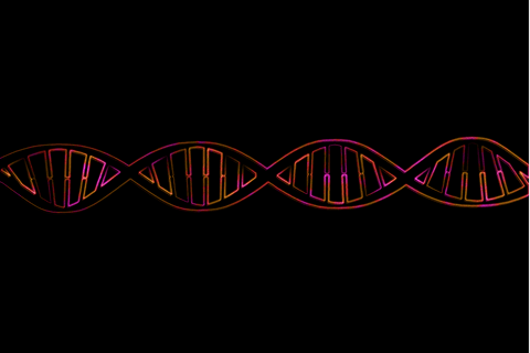transparent neon dna helix on black background for science and education - Download Free Stock Videos Pikwizard.com