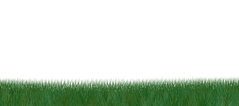 Digital Illustration of Green Grass on Transparent Background - Download Free Stock Videos Pikwizard.com