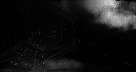 Dark spider web in stormy skies for halloween horror themes