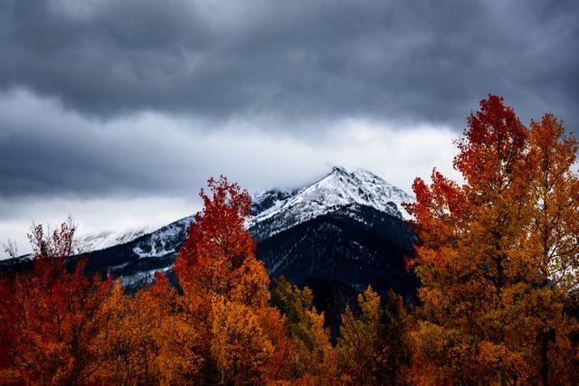 Beautiful snow-capped mountain peak framed by vibrant autumn foliage. Gray clouds loom above, enhancing the contrast of colors. Perfect for travel and outdoor adventures, seasonal promotions, nature websites, and inspirational posters.