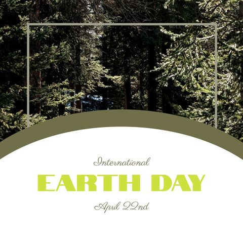 International earth day over green fir forest